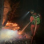 대전 산불 공무원 비상소집 “여직원은 돌아가라” 남녀차별 논란