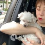 입짧은햇님, 당분간 유튜브 방송 휴방… “반려견 세상 떠나”