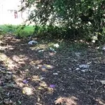 초등학교 주변 19금 섹스공원으로 불리는 공원  논란
