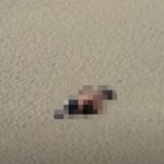 강원도 해변가 나체 애정행각 커플..”누드비치인줄” 공연음란죄 가능성