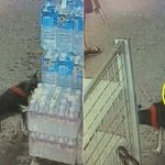 편의점 생수 묶음에 소변본 개, 지켜본 견주 ‘싸는 시늉만 했다”