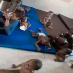 외부 지원 다 끊겨 고아원에 고립돼 굶주리던 아이들 60명 집단 사망