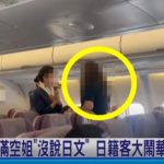 일본말 못한다고 “쓰레기, 돼지 같은X”…일본 관광객, 항공기서 막말