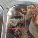 대학 학생식당 음식에서 나온 콘돔.. 더 어이없는 해명