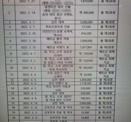 상간녀 손해배상 하나경 3개월 교제 2800만원 써 억울함 호소 “유부남인지 몰랐으니까”