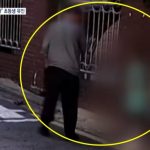 “우리집 가서 씻자” 열매 주워달라며 초등생 유인한 할아버지 전날도??