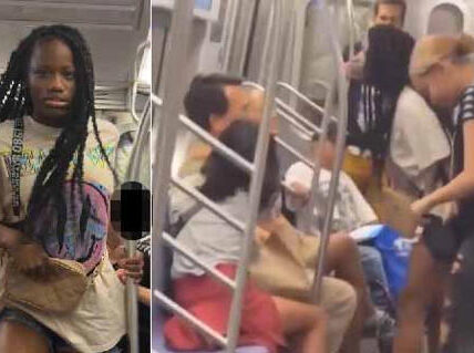 “너희나라로 꺼져” 뉴욕 지하철서 한국계 미국인 폭행한 10대 흑인 소녀