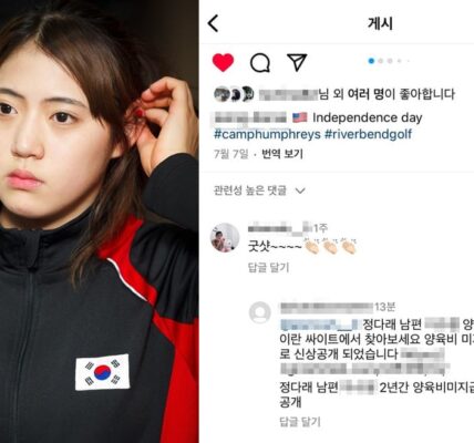 前 수영 국가대표 정다래, 남편 전처 ‘명예훼손’으로 고소하다