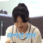 라이언 제작한 디자이너, 큰돈 벌지 못했다고 밝혀