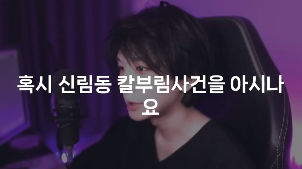 유튜버 루인 ‘제 악플러가 조선이었다’ 밝혀…