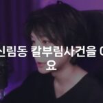 유튜버 루인 ‘제 악플러가 조선이었다’ 밝혀…