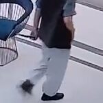 호텔에서 흉기 난동 부린 남성. 경찰 오자마자 흉기 버려.