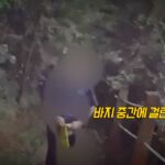 등산로에서 여성만 나타나면 바지 구멍으로 성기 노출한 60대 남성