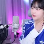 스트리머 쵸단 학창시절 학폭 피해 고백 “미친 걸레X 소리 들어” (영상)