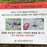 설악산 ‘입산 금지 경고판’에 실제 추락사 시신 사진 넣어 논란