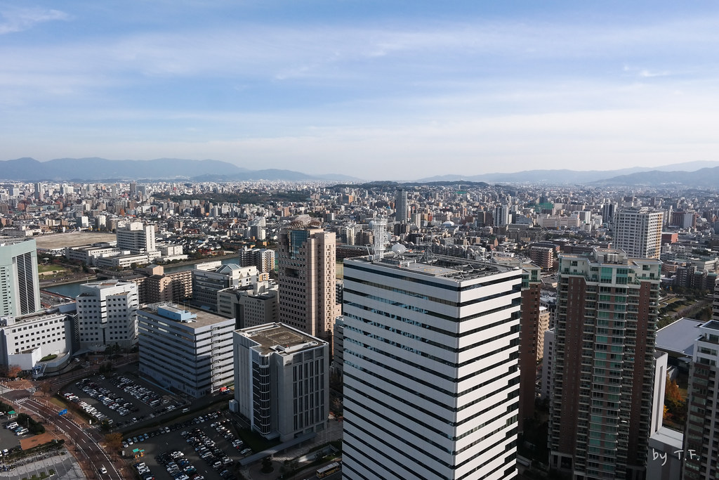 Flickr TFurban - 복사본