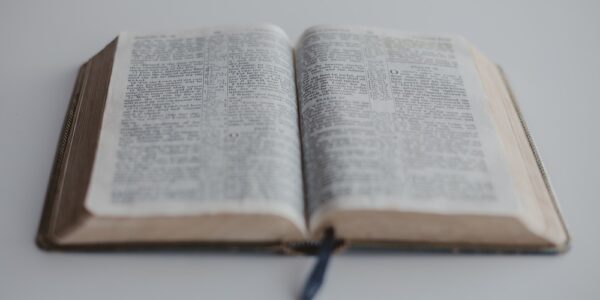 전도 목적으로 새벽에 식당 찾아가 문 두드린 목사, 집행유예