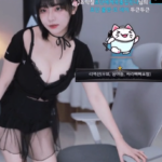 한달에 한 번만 입는다는 섹시 쵸단