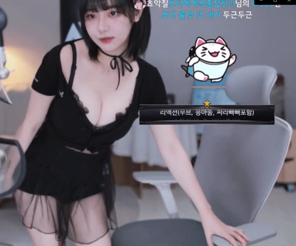 한달에 한 번만 입는다는 섹시 쵸단