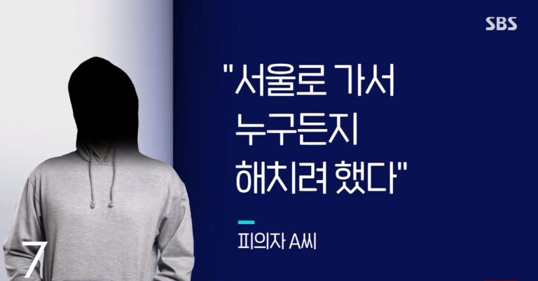 “누구든 해치겠다” 서울 상경해 여중생에게 흉기 휘두른 10대