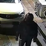 길가에 버려진 비닐봉지 속에서 발견된 ‘이것’