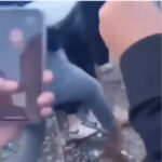 또래 여학생 2명 집단 폭행한 촉법소년들, 발길질에 환호까지…