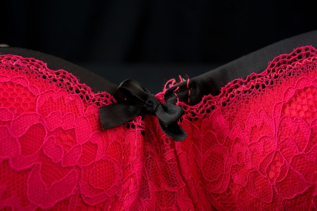 bra-3879267_1280