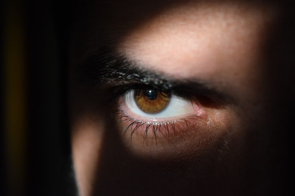 eye-2488227_1280