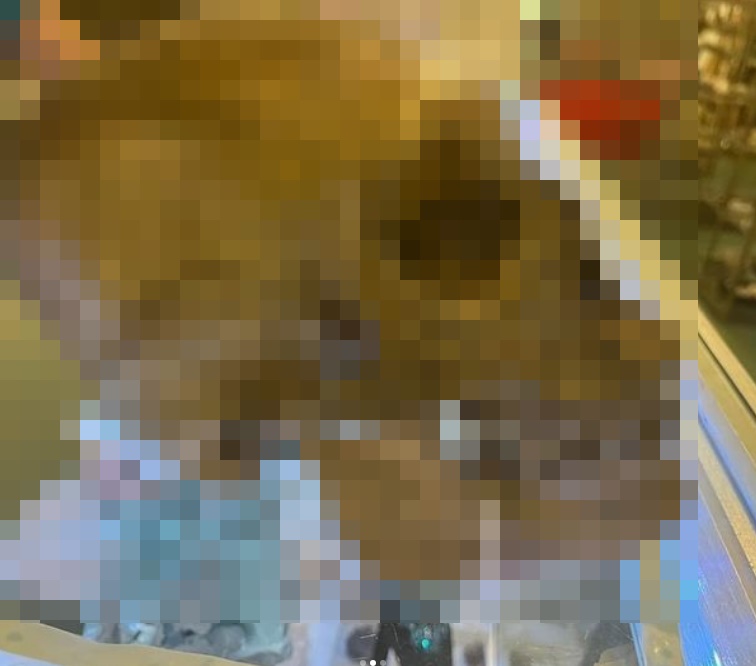 02