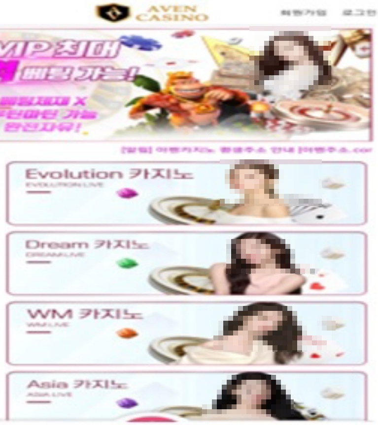 불법 도박 수입을 허위 경매 수법으로 자금세탁 한 범죄단체조직 검거