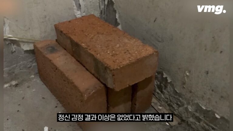 32층에서 벽돌 투척해 행인 숨지게 한 20대 남성 ‘사형 선고’