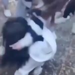 천안 또래 집단폭행 10대 가해자 5명 기소
