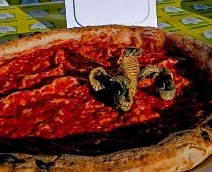 이탈리아 기겁하게 만든 피자 토핑. 뱀고기에 귀뚜라미까지…