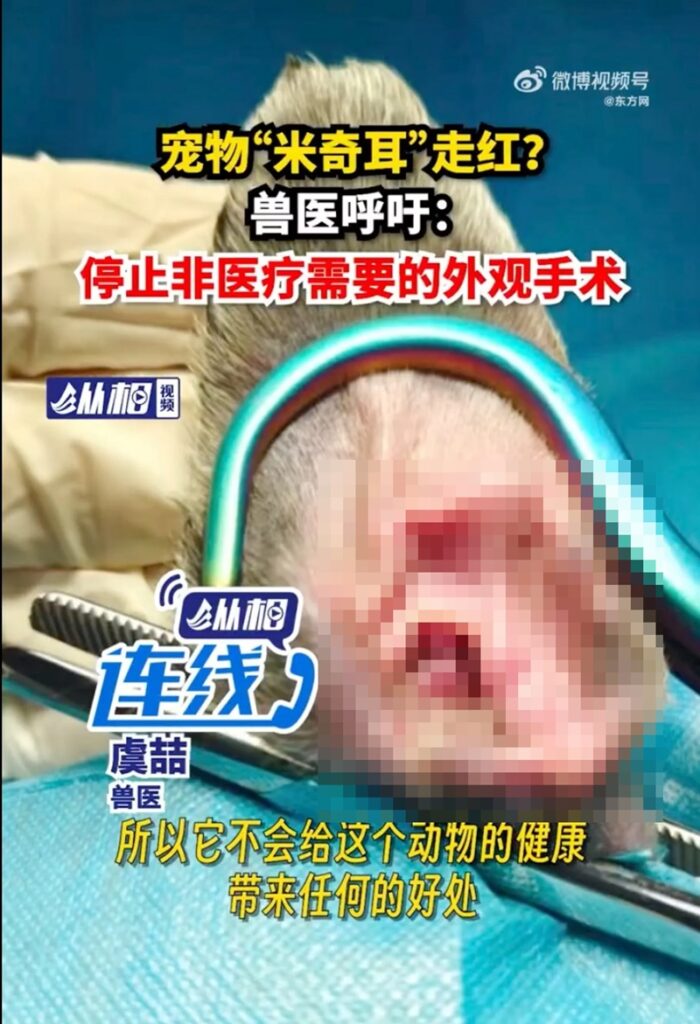 6747ffa1-21aa-4c5a-8d22-8060f808ddba_2ebb5aed