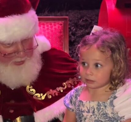 산타할아버지 무릎에 앉길 거부한 세 살 소녀, 산타의 반응은…