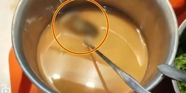 중국 학교 구내식당 양념통에서 발견된 쥐…. 또다시 식품위생 논란