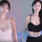 오토바이 댄스 모음 둘기얏