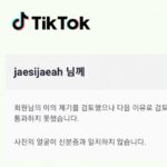 이동국 딸 재시, 재아 ‘틱톡’ 계정 영구정지. 이유는?