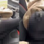 갑자기 벨트 풀려 넘어진 여성… 온라인 커뮤니티 떠들썩(영상)