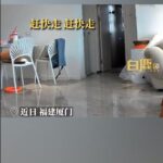 “불이야!” 반려동물 데리고 한달음에 피신한 중국인 여성