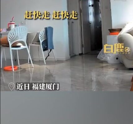 “불이야!” 반려동물 데리고 한달음에 피신한 중국인 여성