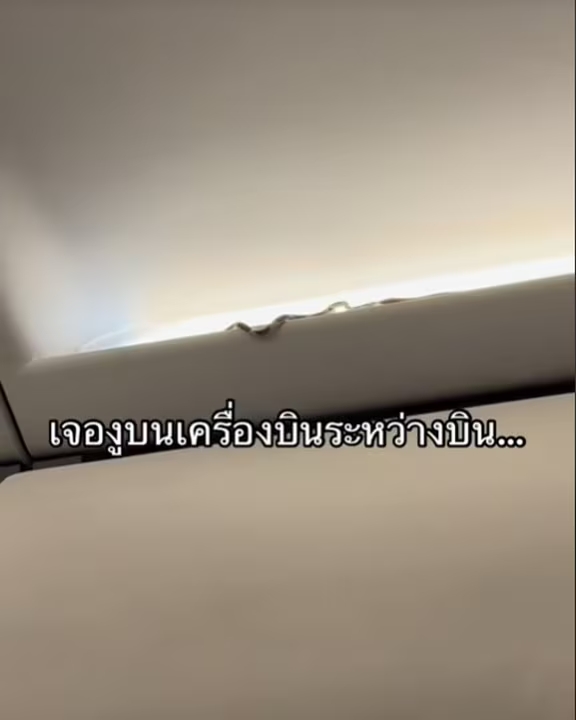 2XXK27U4VBESJAYOH5FHUD5ZJ4
