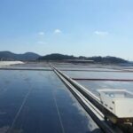 ‘신안 염전 노예’ 영상 제작한 유튜버, 검찰 송치