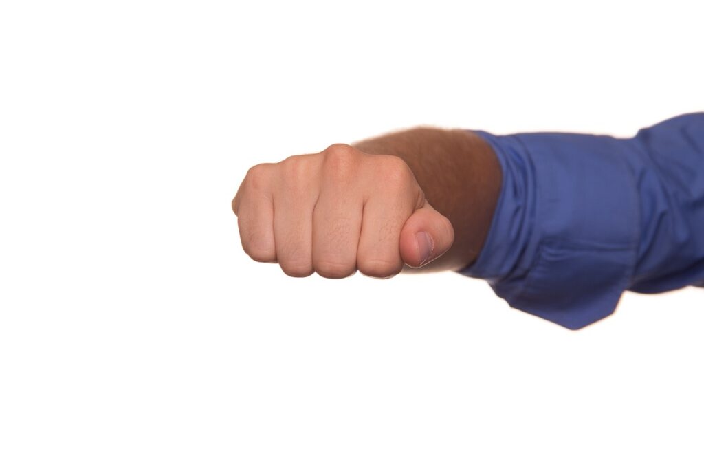 fist-424499_1280