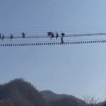 36m 높이 흔들다리서 거꾸로 매달린 관광객들(영상)