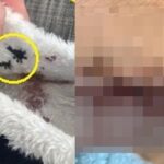 중국 테무에서 산 부츠에 봉변당한 여성… “당장 버려라”
