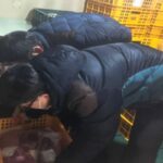 원산지 숨기거나 표시하지 않고 판매한 업체, 적발되다