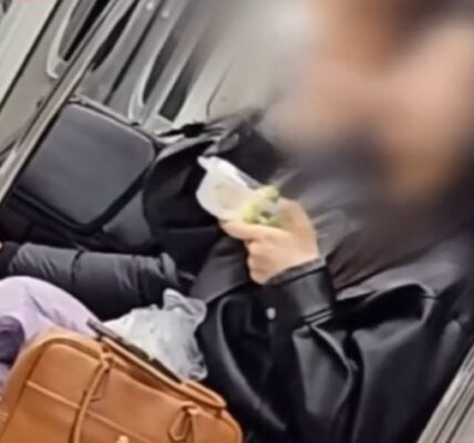출근길 지하철서 도시락 먹은 승객, 처음이 아니다?(영상)