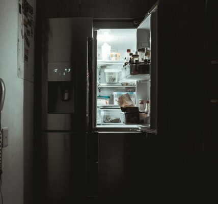 신생아 냉동실에 유기한 30대 베트남 친모… 남편 “내 아이 아냐”